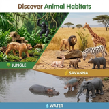 Wild Animals Toys for Kids – 12 Pc Jungle Safari & Zoo Animals Set | Realistic Animal Figurines | Educational Animal Toys for Boys & Girls Learning, School Projects & Creative Play Age 3+