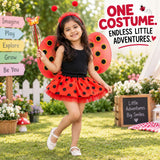 Ladybug & Bee Fancy Dress Costume for Girls with Wings & Skirt, Ages 3–6