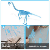 Glow In Dark Noctilucent Dinosaur Fossil excavation Archaeological Science STEM Toys Kit (Brachiosaurus)
