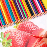 12 Vibrant Shades Soft Color Pencils Round Box | Smooth Color Application | Non-Toxic, Smooth & Break-Resistant Colouring Pencils | For School Projects, Art & Craft, Sketching and Drawing