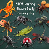 10 PCS Jumbo Insect Toys for Kids | Realistic Insects Toys Set for Pretend Play, Prank Toy Fun, Learning & Educational Activities | Big Size Bug Figures for Boys & Girls
