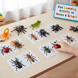 10 PCS Jumbo Insect Toys for Kids | Realistic Insects Toys Set for Pretend Play, Prank Toy Fun, Learning & Educational Activities | Big Size Bug Figures for Boys & Girls