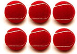 Cricket Heavy Tennis Balls (Red, Pack of 1)