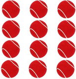 Cricket Heavy Tennis Balls (Red, Pack of 1)