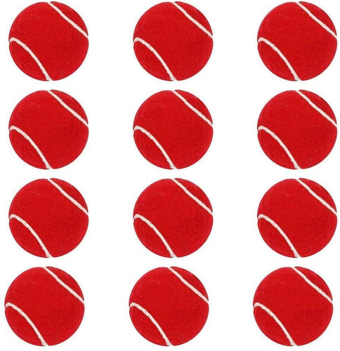 Cricket Heavy Tennis Balls (Red, Pack of 1)